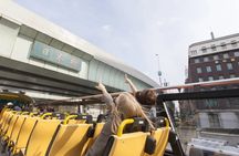 Tokyo Sky Hop on Hop off Sightseeing Bus