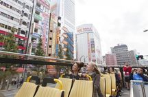 Tokyo Sky Hop on Hop off Sightseeing Bus