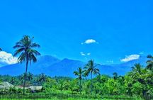 Tetebatu Lombok Walking Tour with Waterfalls and Monkey Forest