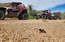12 PM Desert Off-Road UTV Tour, 2 hours, 2 people per vehicle