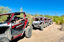 1:30 PM Desert Off-Road UTV Tour, 2 hours, 2 people per vehicle