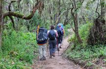 Mount Kilimanjaro Day Hike