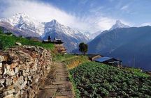 Himalayan Village Trail: Kaskikot & Sarangkot Scenic Hike