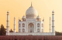 Private 5 Day Golden Triangle with Tiger Safari Tour from Delhi