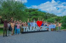 3-Day Budget Safari: Tarangire ,Ngorongoro Crater & Lake Manyara