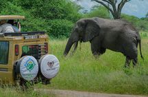 3-Day Budget Safari: Tarangire ,Ngorongoro Crater & Lake Manyara