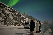 Northern Lights Small Group Tour around Kirkenes