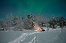 Northern Lights Small Group Tour around Kirkenes