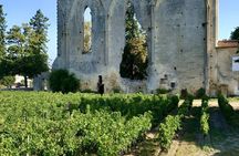 Private Saint-Emilion Wine Tour with tastings, from Bordeaux