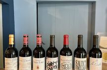 Private Saint-Emilion Wine Tour with tastings, from Bordeaux