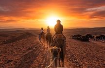 Become a Nomad for a Day: Private Desert Camel Experience