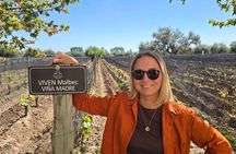 Private Biodynamic Wine Tour in Mendoza with a Sommelier