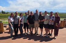Private Biodynamic Wine Tour in Mendoza with a Sommelier