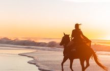 Oceanfront Sunrise Horseback Ride in Mar del Plata
