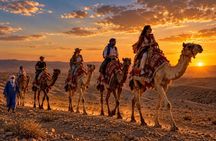 Become a Nomad for a Day: Private Desert Camel Experience