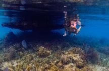 Roatan Night Time Snorkel Tours and Custom Snorkel Tours
