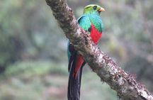 From Cuzco Tour to Manu National Park For 4 days