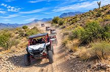 Desert Off-Road UTV Tour, 2 hours, 2 people per vehicle