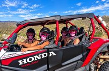 Desert Off-Road UTV Tour, 2 hours, 2 people per vehicle