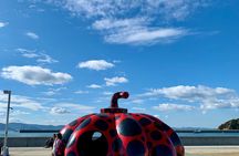 Naoshima Private Bike Tour Art Museums and Island Highlights