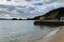 Naoshima Private Bike Tour Art Museums and Island Highlights