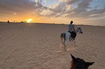 Sharm El Sheikh, 1 Hour Scenic Desert Horse Ride with Transfers
