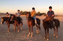 Sharm El Sheikh, 1 Hour Scenic Desert Horse Ride with Transfers