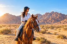 Sharm El Sheikh, 1 Hour Scenic Desert Horse Ride with Transfers