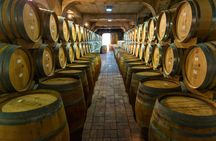 Full Day Cape Winelands Wine Tour with Tastings and Scenic Views