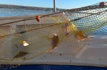 Chania Fishing with Nets Catch and Cook with a Local Fisherman