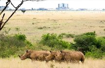 Afternoon Tour To Nairobi National Park
