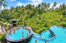 Best Alas Arum Adventure Swing, Zipline and Sky Bike With Lunch