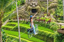 Best Alas Arum Adventure Swing, Zipline and Sky Bike With Lunch