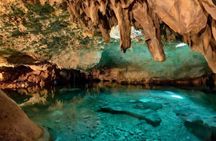 Turtle Snorkeling and cenotes trip