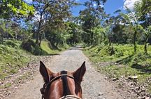 Horseback Riding to La Fortuna Waterfall