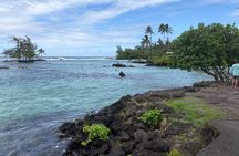The Pele Express HONU & HILO: Turtles & Waterfalls Tour