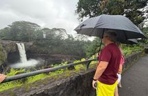 The Pele Express HONU & HILO: Turtles & Waterfalls Tour