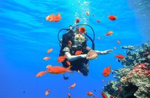 Mirissa Premium Scuba Diving for Beginners and Certified Divers