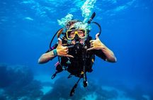 Mirissa Premium Scuba Diving for Beginners and Certified Divers