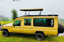 Nairobi National Park Half Day Safari in a 4x4 Vehicle