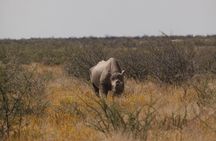 3 Day Private Safari to Tarangire and Ngorongoro from Moshi