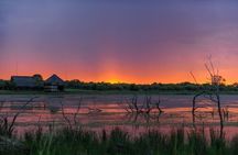 Dinokeng Open Vehicle Game Safaris Trip from Johannesburg