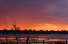 Dinokeng Open Vehicle Game Safaris Trip from Johannesburg