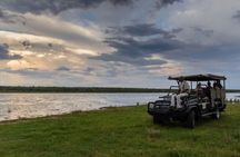Dinokeng Open Vehicle Game Safaris Trip from Johannesburg