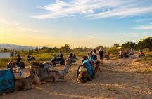 Camel ride & carriage OR horse in the mountains