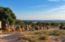 Camel ride & carriage OR horse in the mountains
