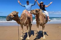 Luxury Tangier Private Day Tour from Malaga All Inclusive