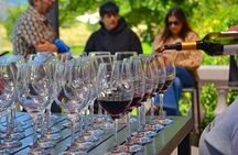 Transfer to San Antonio port with Valparaiso & Casablanca tour