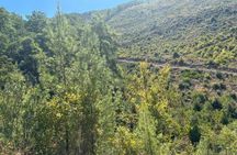 Alanya Sapadere Canyon and Hidden Waterfall Discovery with Lunch