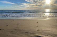 Mazatlan Baby Sea Turtle Conservation Encounter and Beach Day